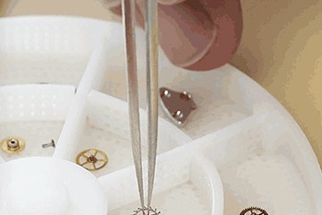 劳力士表佛山售后维修店地址